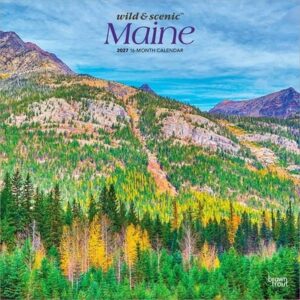 Maine Wild & Scenic 2027 12 X 24 Inch (Hanging) Monthly Square Wall Calendar Plastic-Free