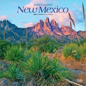 New Mexico Wild & Scenic 2027 12 X 24 Inch (Hanging) Monthly Square Wall Calendar Plastic-Free