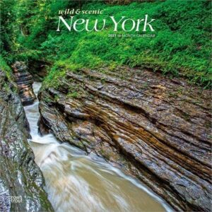 New York Wild & Scenic 2027 12 X 24 Inch (Hanging) Monthly Square Wall Calendar Plastic-Free
