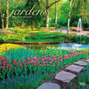 Gardens 2027 12 X 24 Inch (Hanging) Monthly Square Wall Calendar Foil Stamped Cover Plastic-Free