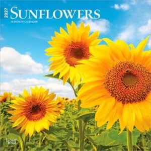 Sunflowers 2027 12 X 24 Inch (Hanging) Monthly Square Wall Calendar Plastic-Free