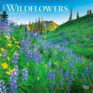 Wildflowers 2027 12 X 24 Inch (Hanging) Monthly Square Wall Calendar Plastic-Free