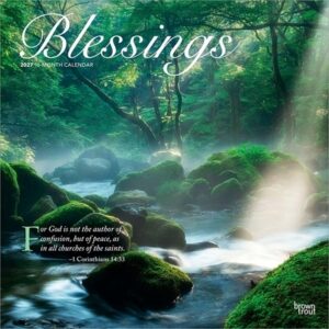 Blessings 2027 12 X 24 Inch (Hanging) Monthly Square Wall Calendar Plastic-Free