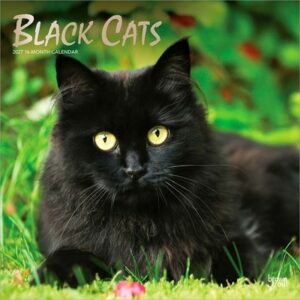 Black Cats 2027 12 X 24 Inch (Hanging) Monthly Square Wall Calendar Foil Stamped Cover Plastic-Free