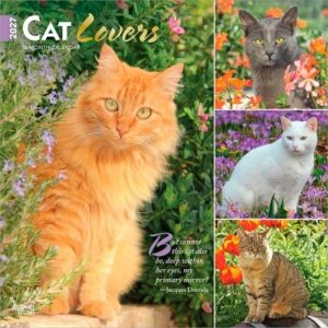 Cat Lovers 2027 12 X 24 Inch (Hanging) Monthly Square Wall Calendar Foil Stamped Cover Plastic-Free