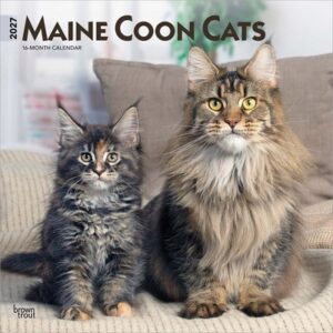Maine Coon Cats 2027 12 X 24 Inch (Hanging) Monthly Square Wall Calendar Plastic-Free