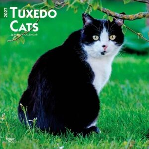 Tuxedo Cats 2027 12 X 24 Inch (Hanging) Monthly Square Wall Calendar Plastic-Free
