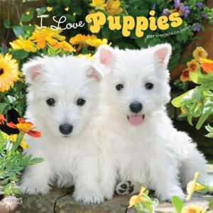 I Love Puppies 2027 12 X 24 Inch (Hanging) Monthly Square Wall Calendar Plastic-Free
