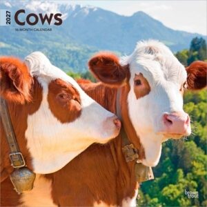 Cows 2027 12 X 24 Inch (Hanging) Monthly Square Wall Calendar Plastic-Free