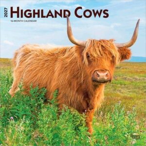 Highland Cows 2027 12 X 24 Inch (Hanging) Monthly Square Wall Calendar Plastic-Free