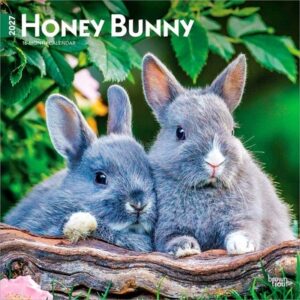Honey Bunny 2027 12 X 24 Inch (Hanging) Monthly Square Wall Calendar Plastic-Free