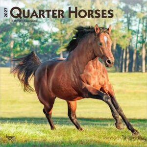 Quarter Horses 2027 12 X 24 Inch (Hanging) Monthly Square Wall Calendar Plastic-Free