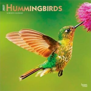 Hummingbirds 2027 12 X 24 Inch (Hanging) Monthly Square Wall Calendar Foil Stamped Cover Plastic-Free