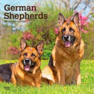German Shepherds 2027 12 X 24 Inch (Hanging) Monthly Square Wall Calendar Plastic-Free