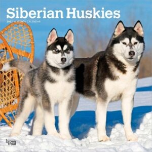 Siberian Huskies 2027 12 X 24 Inch (Hanging) Monthly Square Wall Calendar Plastic-Free