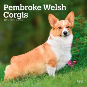 Pembroke Welsh Corgis 2027 12 X 24 Inch (Hanging) Monthly Square Wall Calendar Plastic-Free