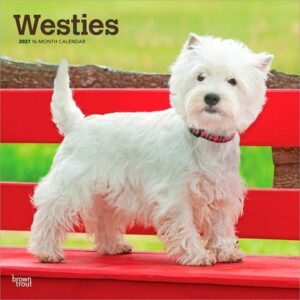 West Highland White Terriers 2027 12 X 24 Inch (Hanging) Monthly Square Wall Calendar Plastic-Free