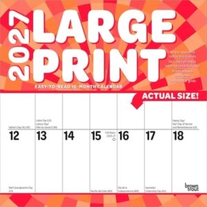 Large Print 2027 12 X 24 Inch (Hanging) Monthly Square Wall Calendar Matte Paper Plastic-Free