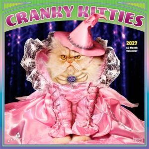 Avanti Cranky Kitties Official 2027 12 X 24 Inch (Hanging) Monthly Square Wall Calendar Foil Stamped Cover Plastic-Free