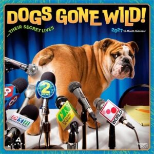 Avanti Dogs Gone Wild Official 2027 12 X 24 Inch (Hanging) Monthly Square Wall Calendar Plastic-Free