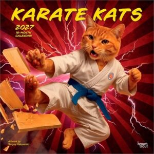Karate Kats Official 2027 12 X 24 Inch (Hanging) Monthly Square Wall Calendar Plastic-Free