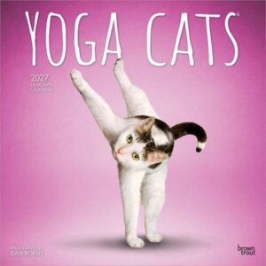 Yoga Cats Official 2027 12 X 24 Inch (Hanging) Monthly Square Wall Calendar Plastic-Free