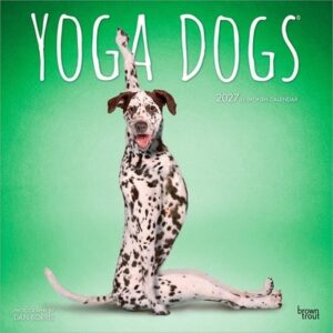 Yoga Dogs Official 2027 12 X 24 Inch (Hanging) Monthly Square Wall Calendar Plastic-Free