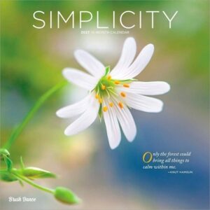 Simplicity 2027 12 X 24 Inch (Hanging) Monthly Square Wall Calendar Plastic-Free