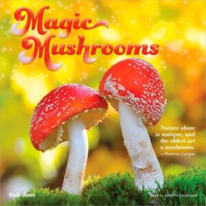 Magic Mushrooms 2027 12 X 24 Inch (Hanging) Monthly Square Wall Calendar Plastic-Free