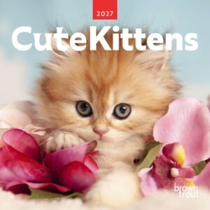 Cute Kittens 2027 7 X 14 Inch (Hanging) Monthly Mini Wall Calendar