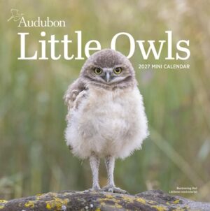 Audubon Little Owls Mini Wall Calendar 2027: A Year of Fluffy and Round Owls