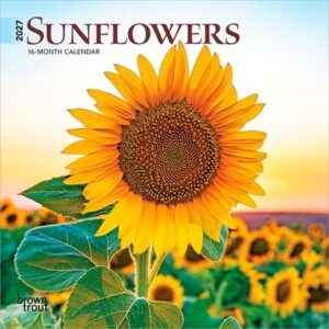 Sunflowers 2027 7 X 14 Inch (Hanging) Monthly Mini Wall Calendar