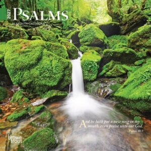 Psalms 2027 7 X 14 Inch (Hanging) Monthly Mini Wall Calendar