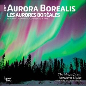 Aurora Borealis 2027 7 X 14 Inch (Hanging) Monthly Mini Wall Calendar English/French Bilingual