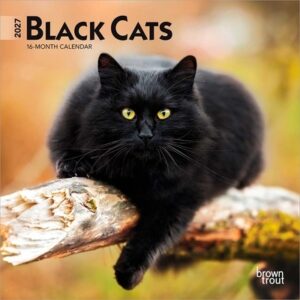 Black Cats 2027 7 X 14 Inch (Hanging) Monthly Mini Wall Calendar