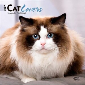 Cat Lovers 2027 7 X 14 Inch (Hanging) Monthly Mini Wall Calendar