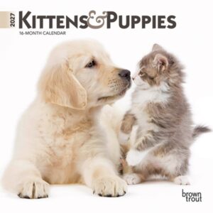 Kittens & Puppies 2027 7 X 14 Inch (Hanging) Monthly Mini Wall Calendar