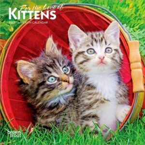 For the Love of Kittens 2027 7 X 14 Inch (Hanging) Monthly Mini Wall Calendar