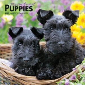 For the Love of Puppies 2027 7 X 14 Inch (Hanging) Monthly Mini Wall Calendar