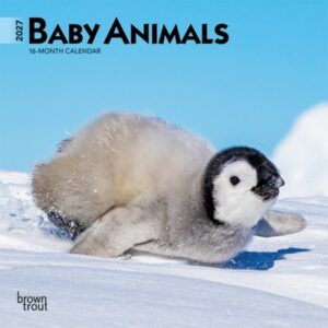 Baby Animals 2027 7 X 14 Inch (Hanging) Monthly Mini Wall Calendar