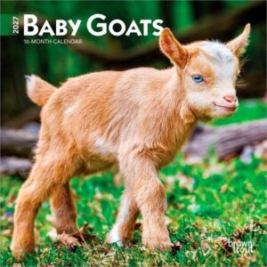 Baby Goats 2027 7 X 14 Inch (Hanging) Monthly Mini Wall Calendar