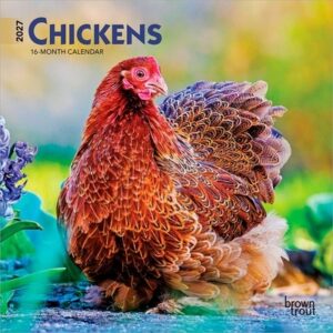 Chickens 2027 7 X 14 Inch (Hanging) Monthly Mini Wall Calendar