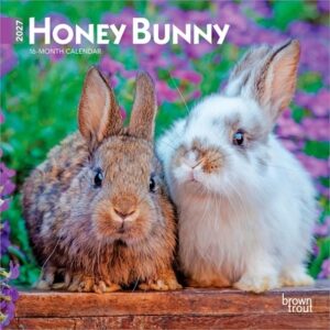 Honey Bunny 2027 7 X 14 Inch (Hanging) Monthly Mini Wall Calendar