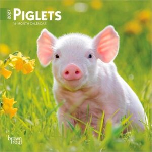 Piglets 2027 7 X 14 Inch (Hanging) Monthly Mini Wall Calendar
