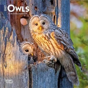 Owls 2027 7 X 14 Inch (Hanging) Monthly Mini Wall Calendar