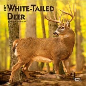 White Tailed Deer 2027 7 X 14 Inch (Hanging) Monthly Mini Wall Calendar
