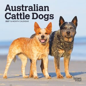 Australian Cattle Dogs 2027 7 X 14 Inch (Hanging) Monthly Mini Wall Calendar