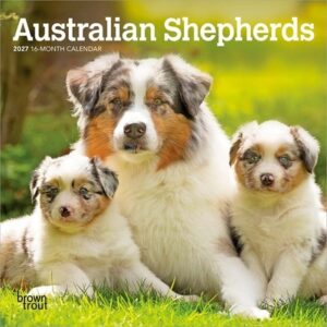 Australian Shepherds 2027 7 X 14 Inch (Hanging) Monthly Mini Wall Calendar