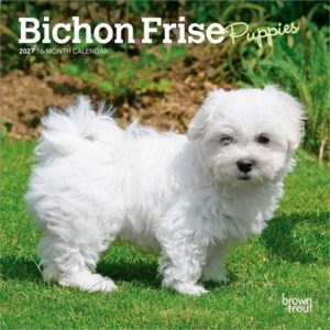 Bichon Frise Puppies 2027 7 X 14 Inch (Hanging) Monthly Mini Wall Calendar