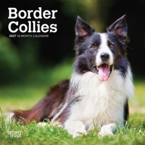 Border Collies 2027 7 X 14 Inch (Hanging) Monthly Mini Wall Calendar